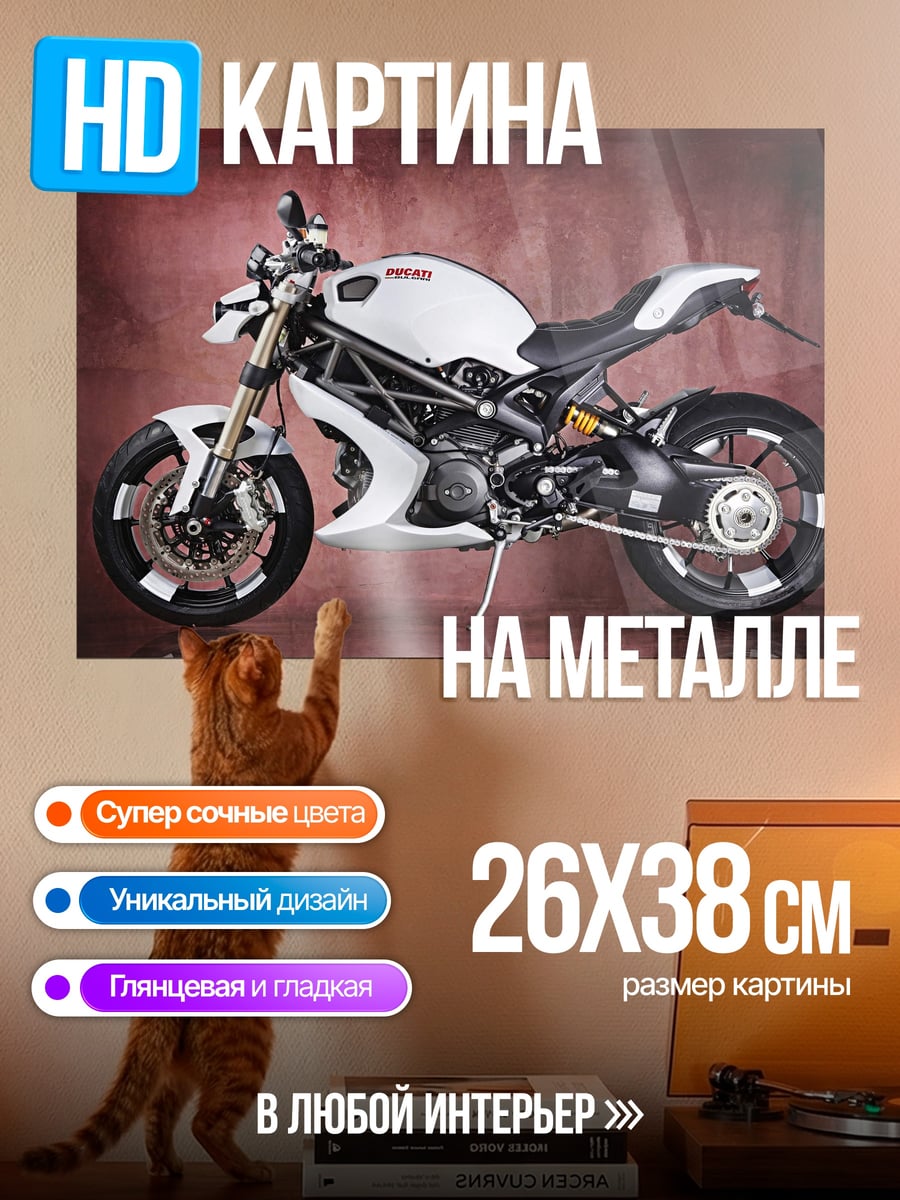 Картина на металле Белый спортбайк Ducati