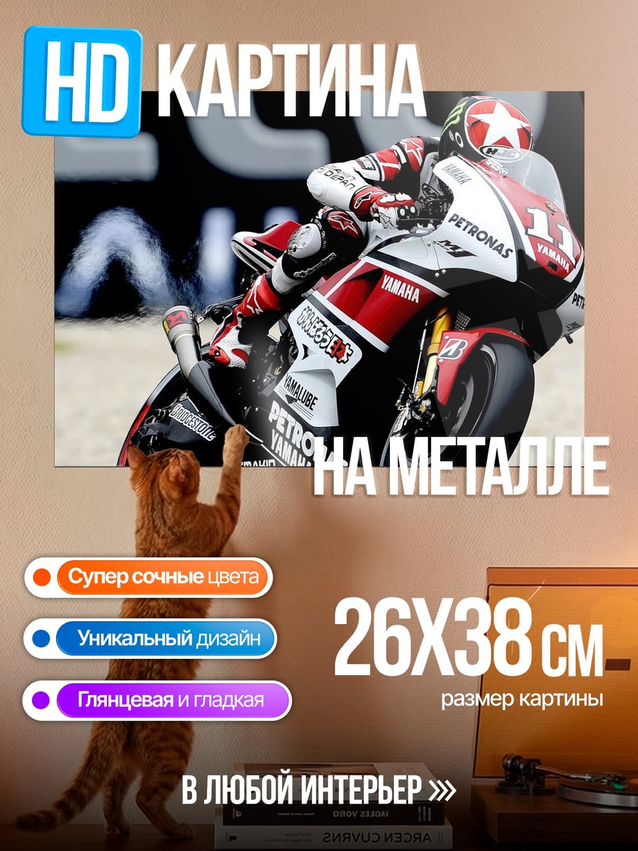 Картина на металле Гонщик MotoGP