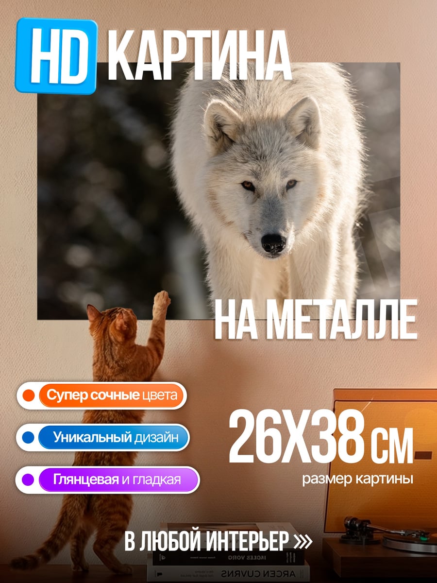Картина на металле Белый волк