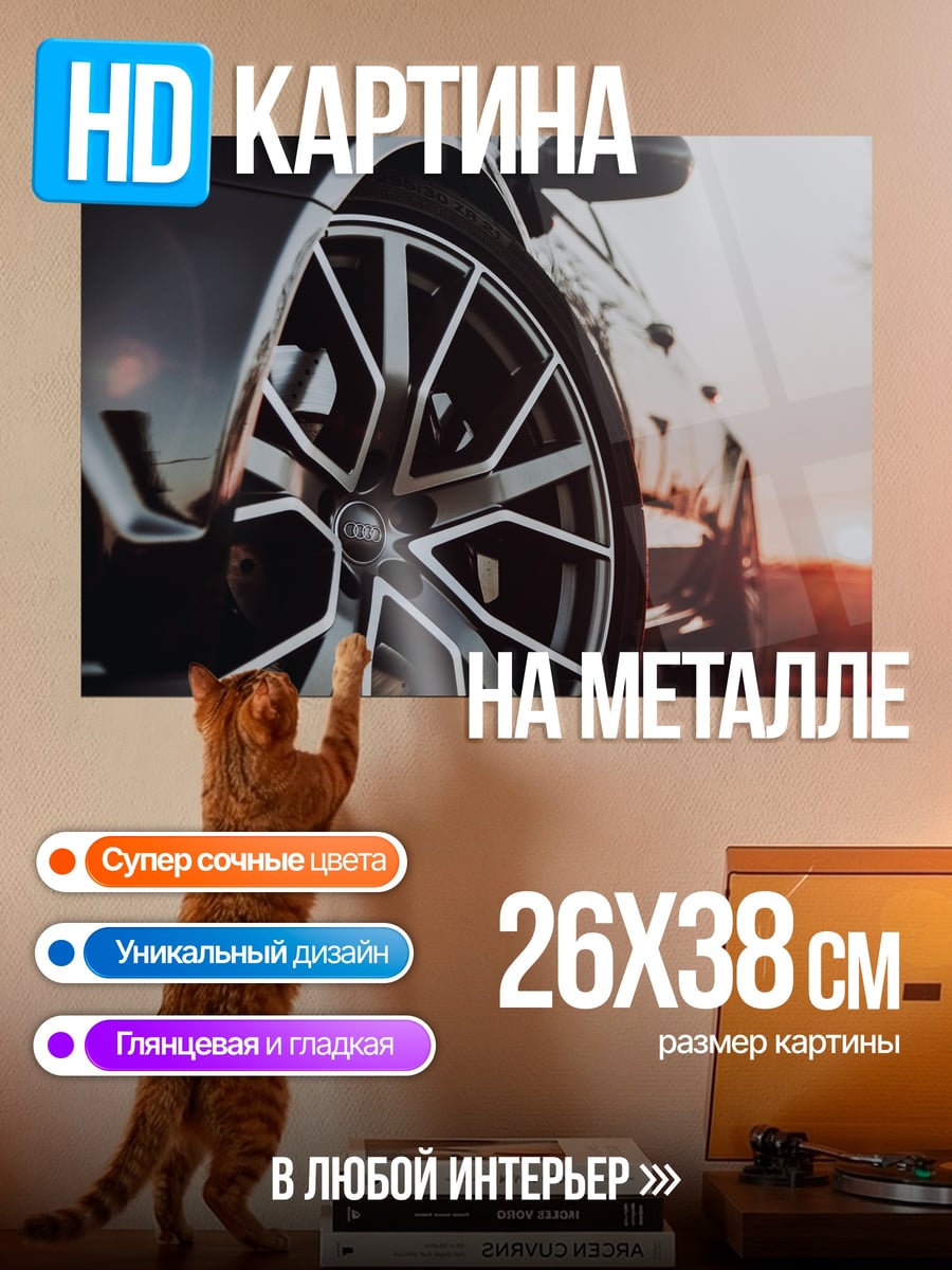 Картина на металле Спортивное колесо