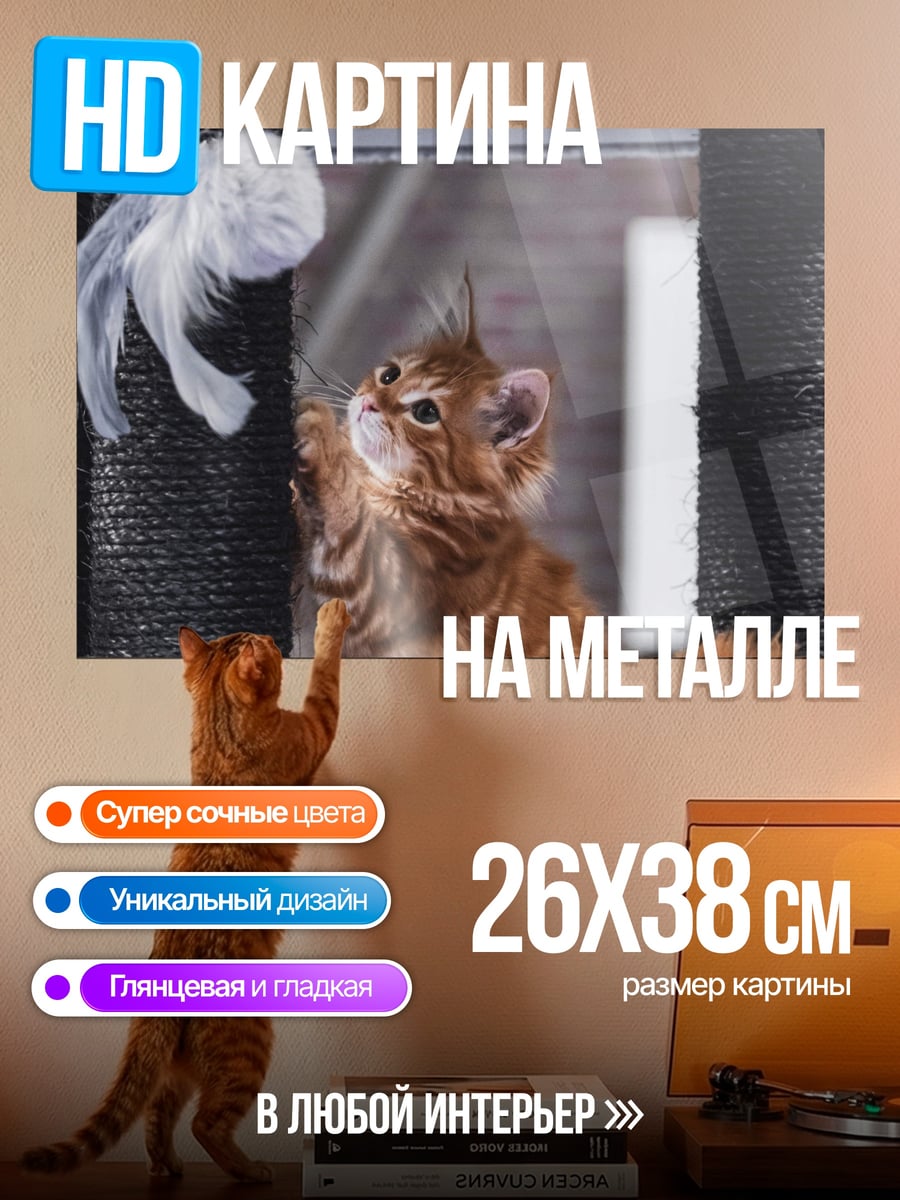 Картина на металле Котёнок играет с пером