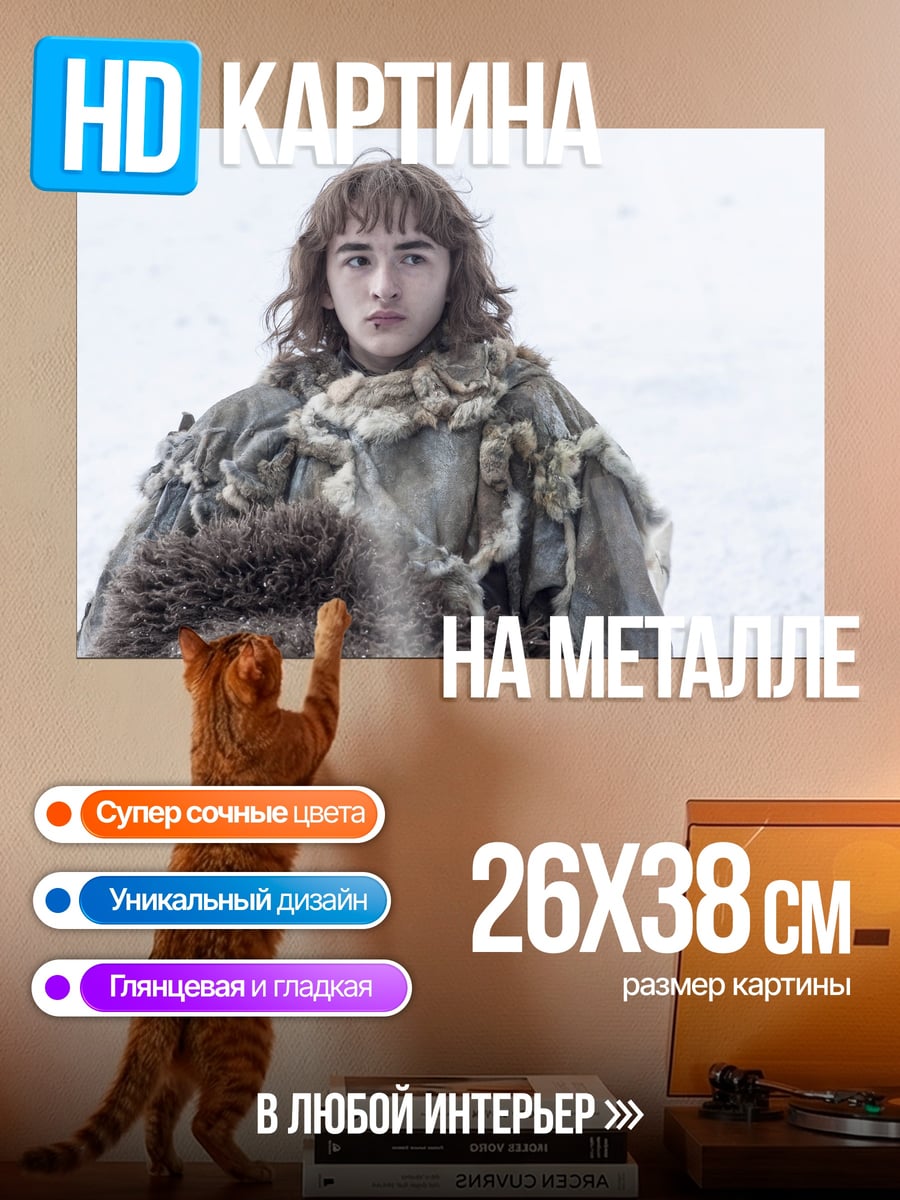 Картина на металле брана старк