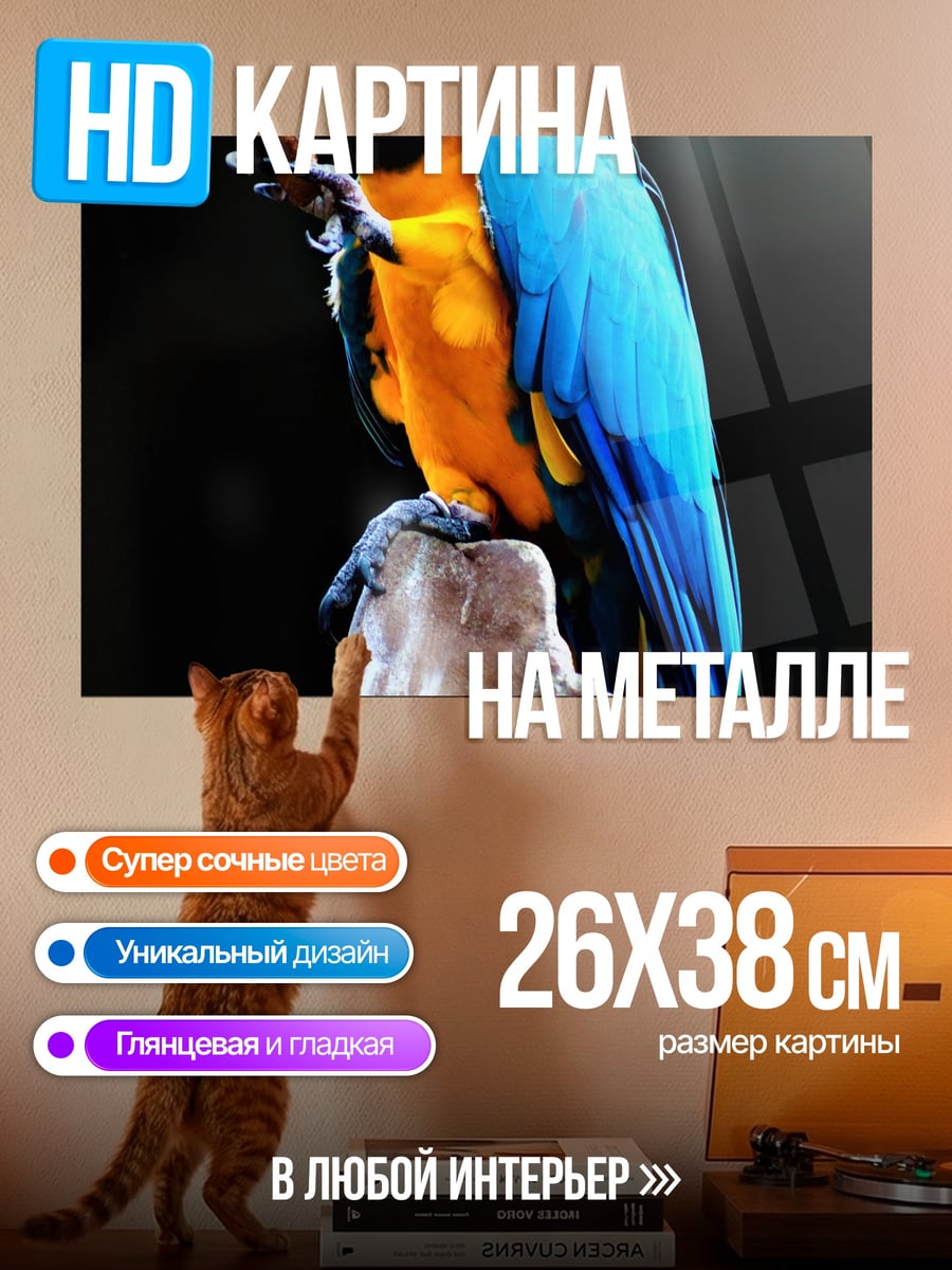 Картина на металле Синий попугай