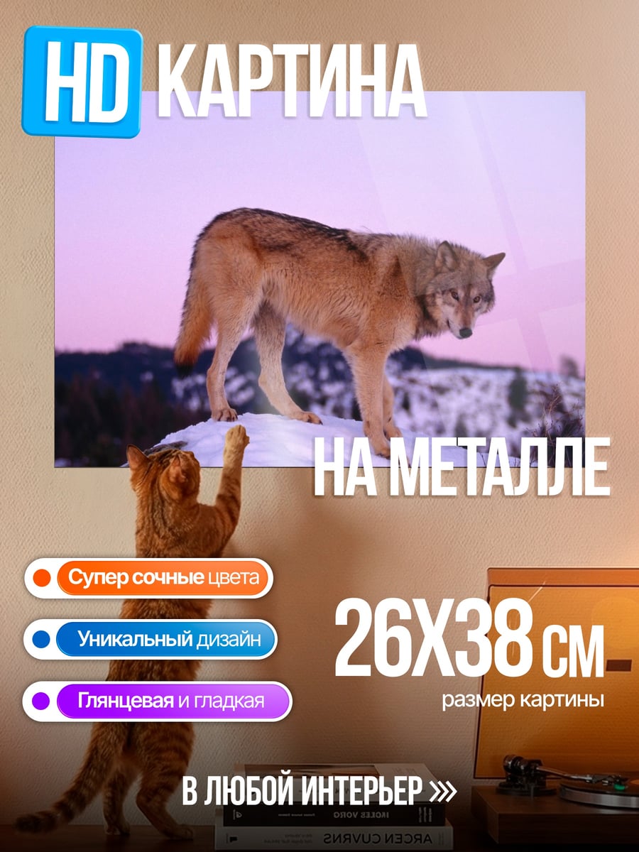 Картина на металле Волк на вершине