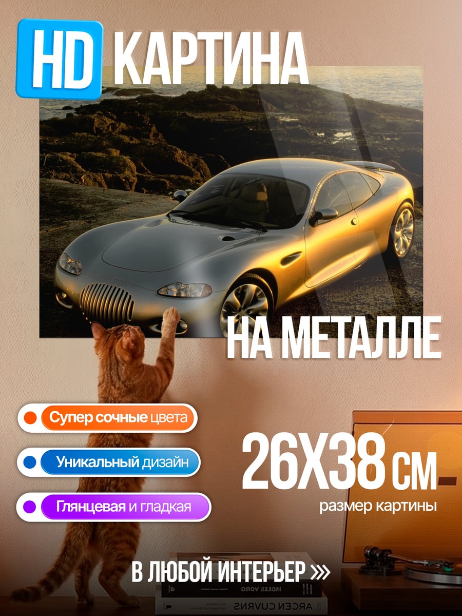 Картина на металле Серебристый спорткар