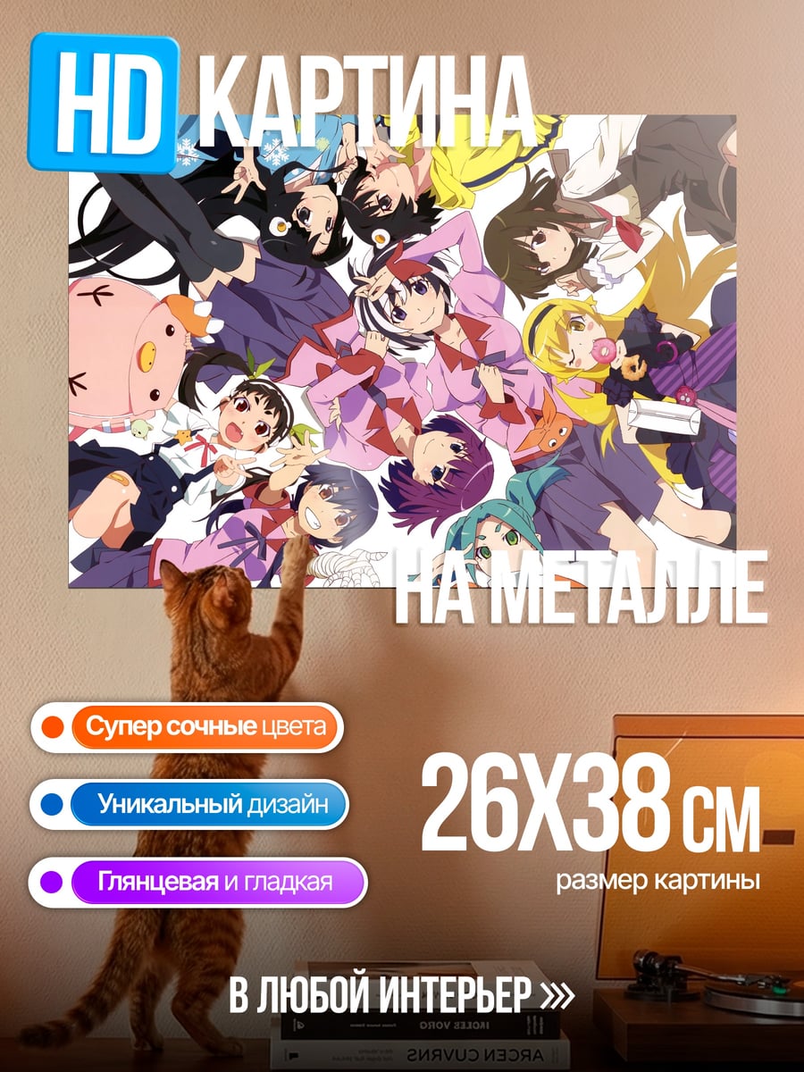 Картина на металле Девушки Monogatari
