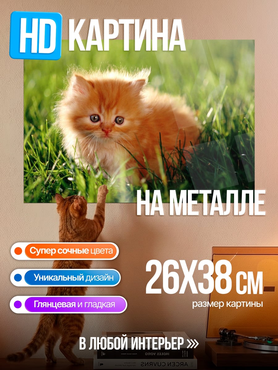 Картина на металле Рыжий котенок в траве