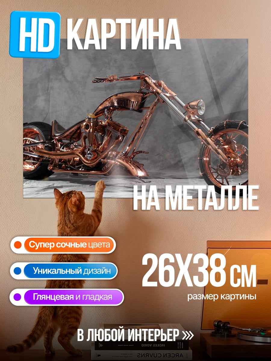 Картина на металле Медный чоппер