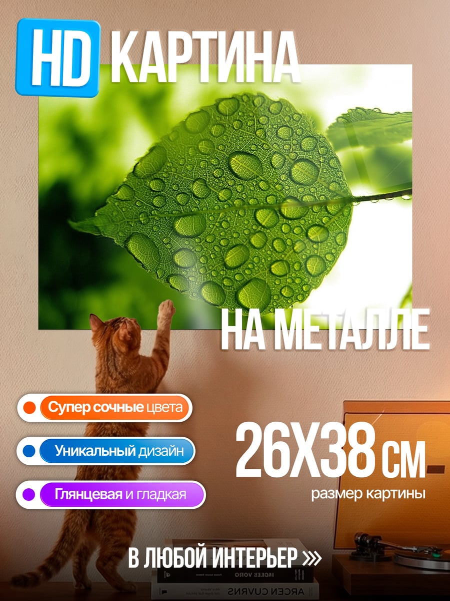 Картина на металле Капли на листе