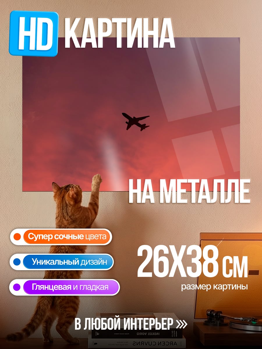 Картина на металле самолет на закате