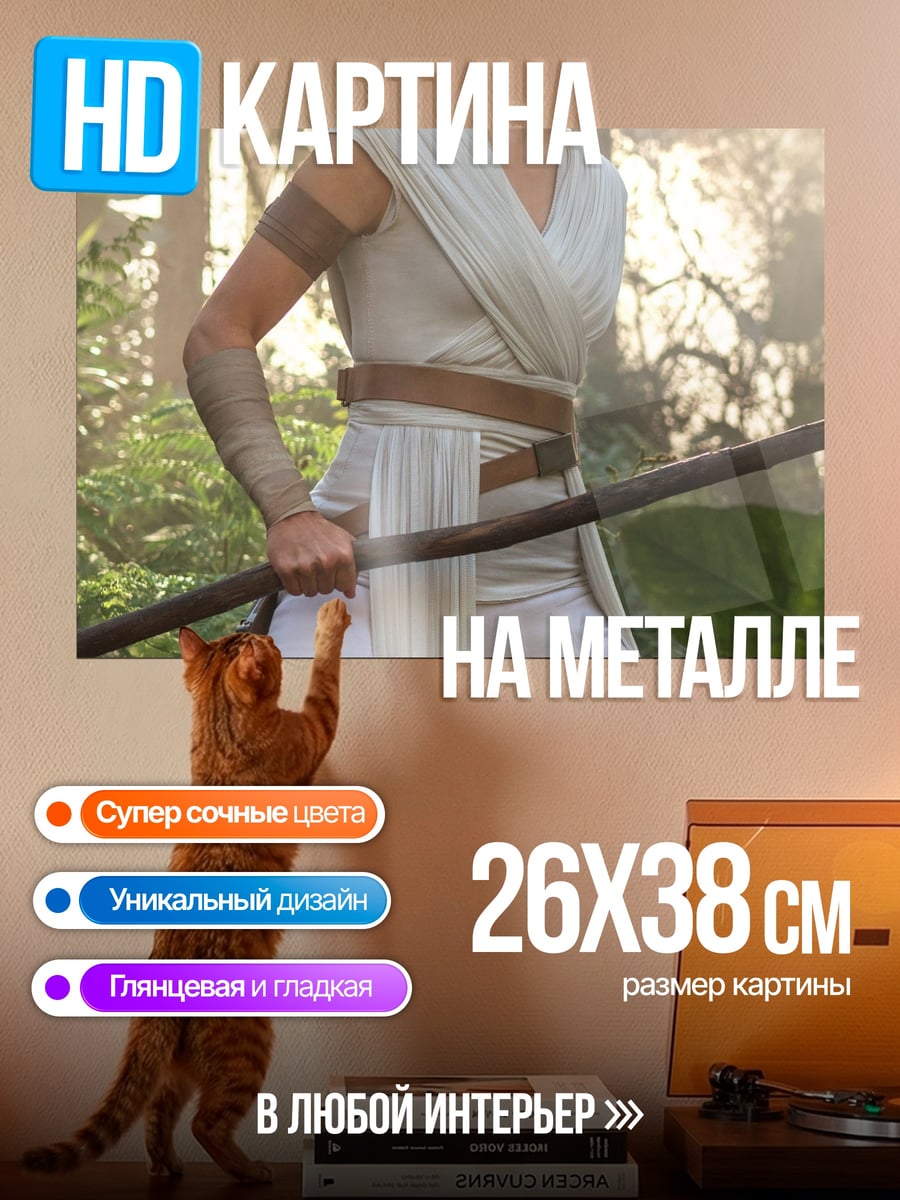 Картина на металле Рей Звёздные Войны