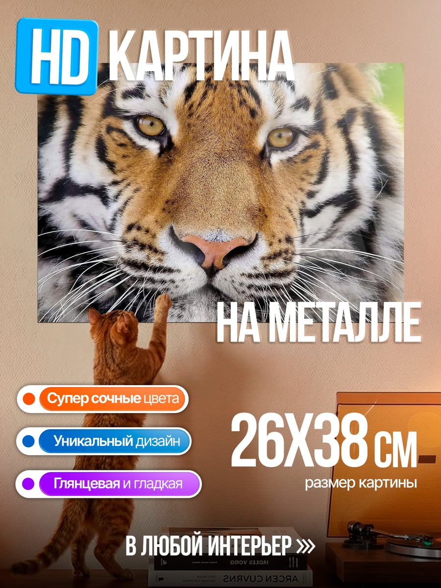 Картина на металле портрет тигра