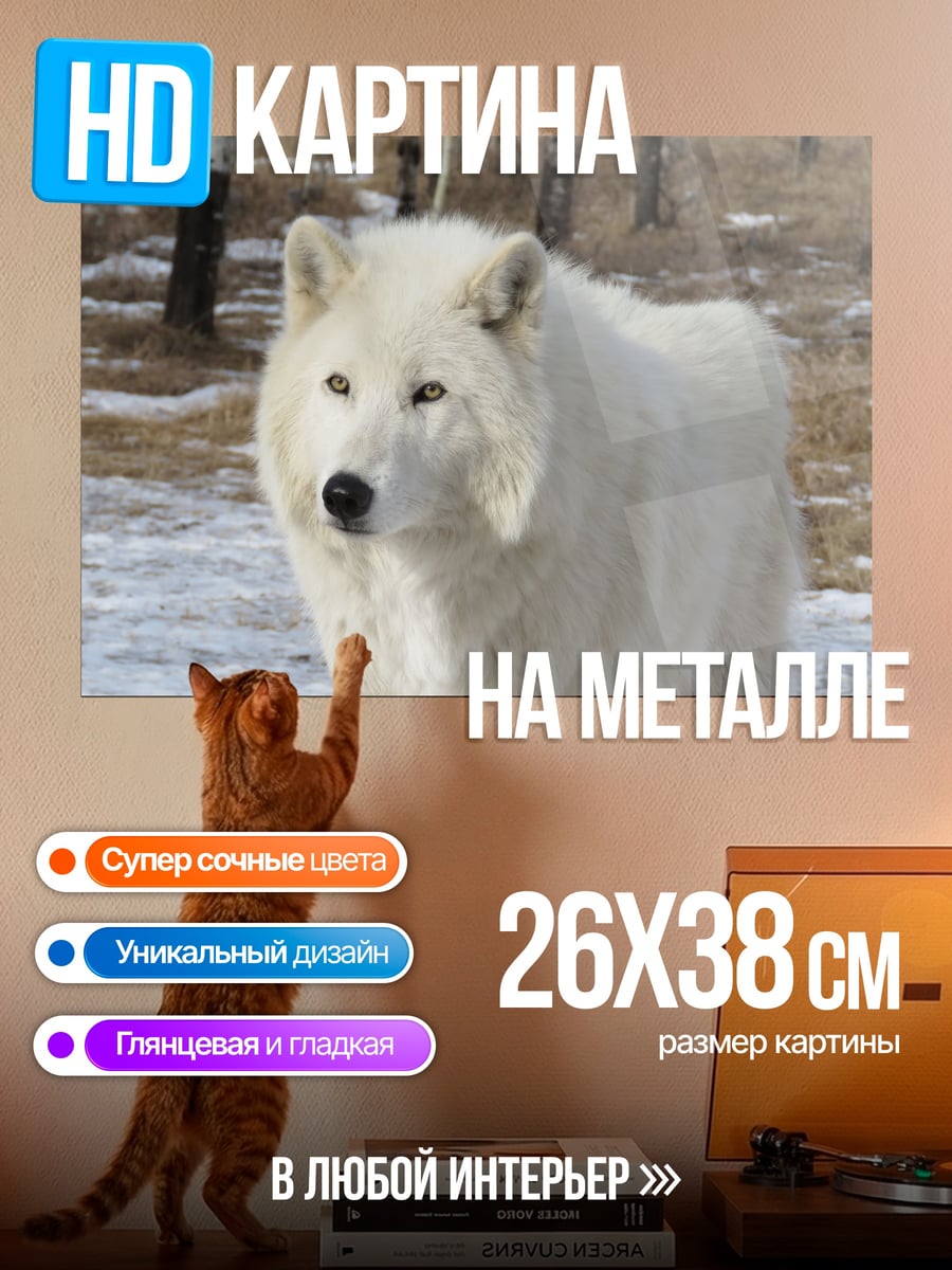 Картина на металле белый волк зимой