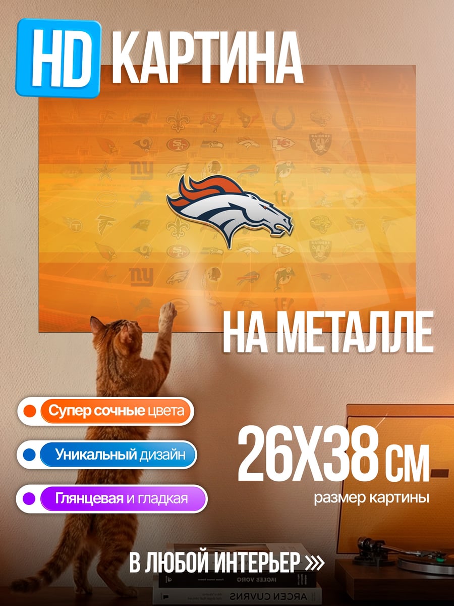 Картина на металле Логотип Денвер Бронкос