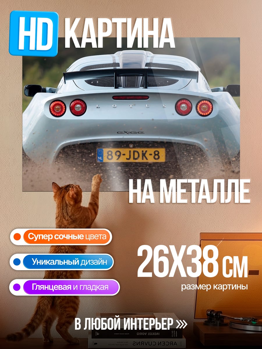 Картина на металле Спортивный автомобиль в грязи