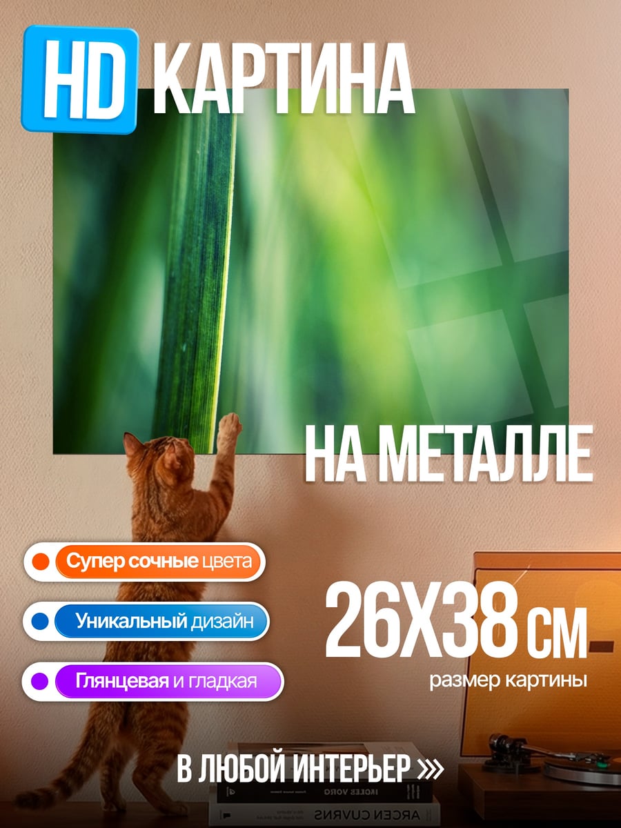 Картина на металле зеленая трава блики