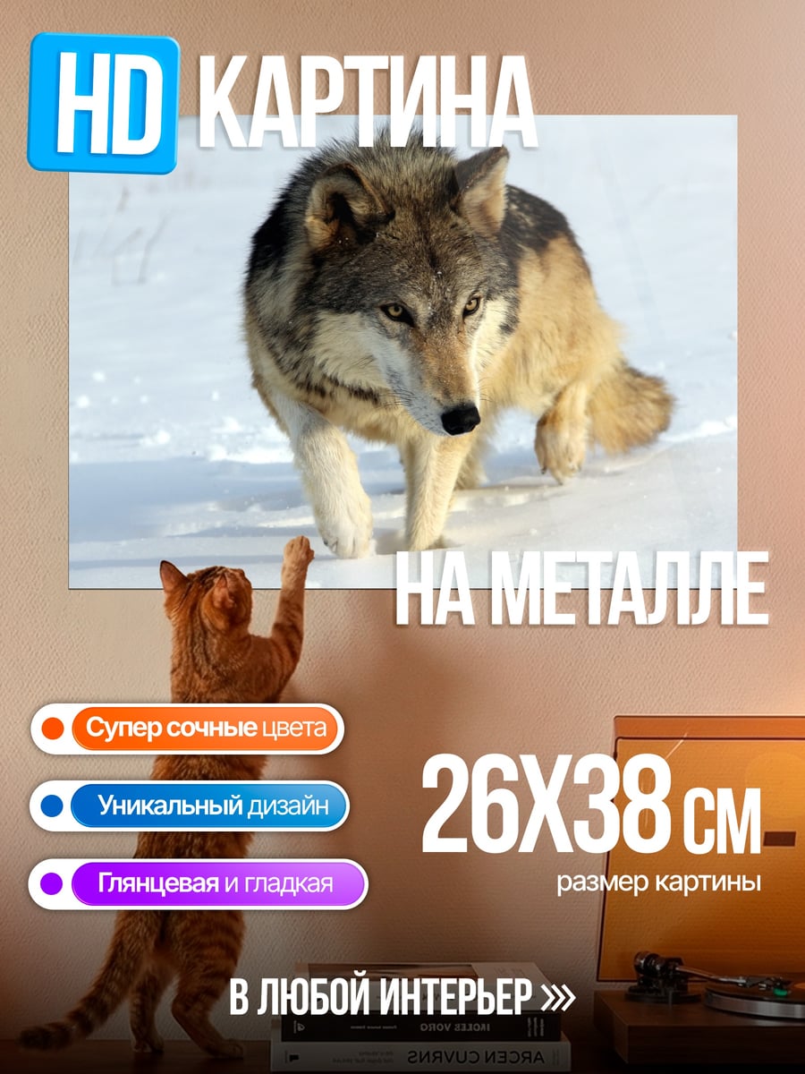 Картина на металле волк в снегу