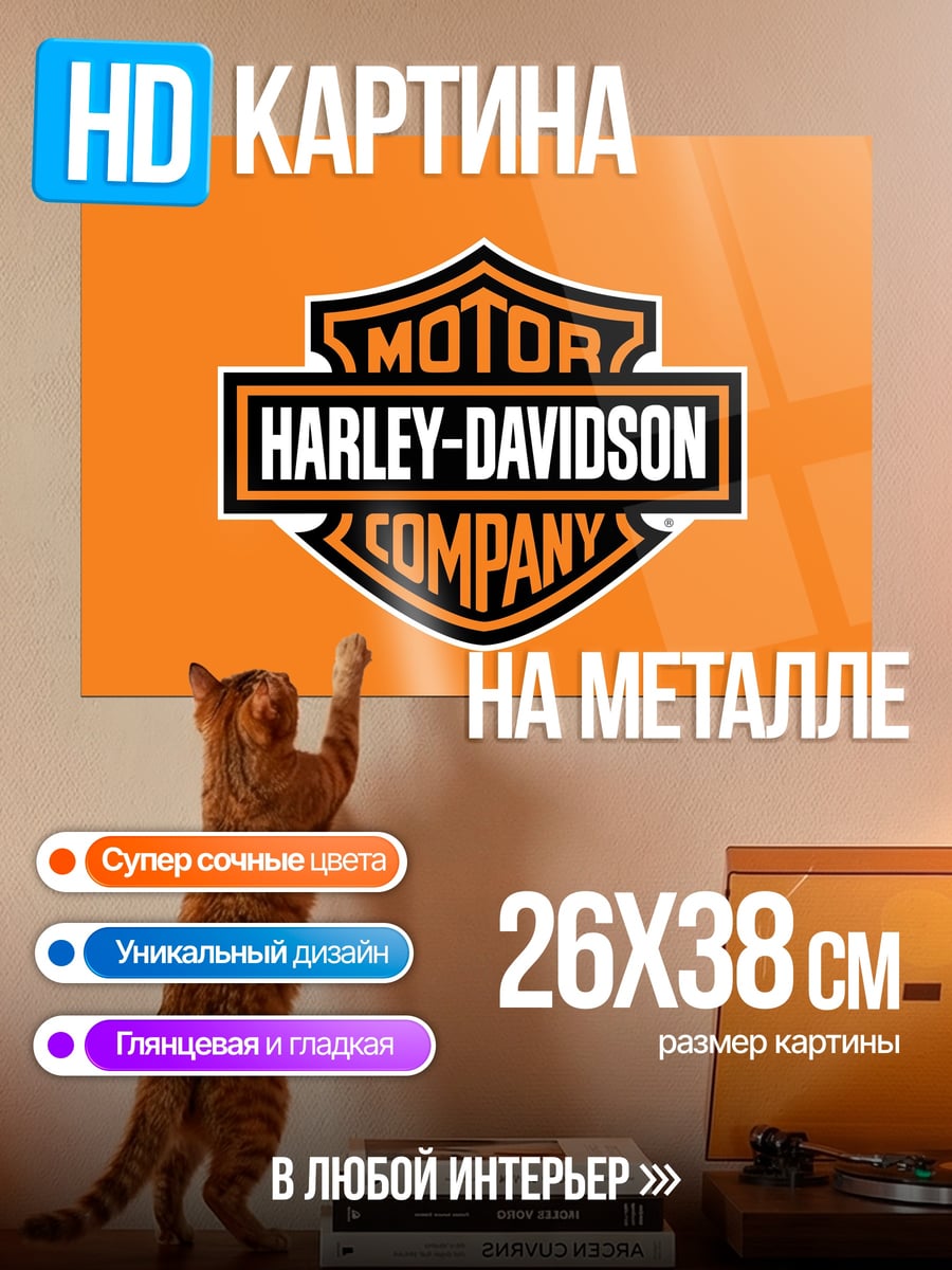 Картина на металле Логотип Harley Davidson