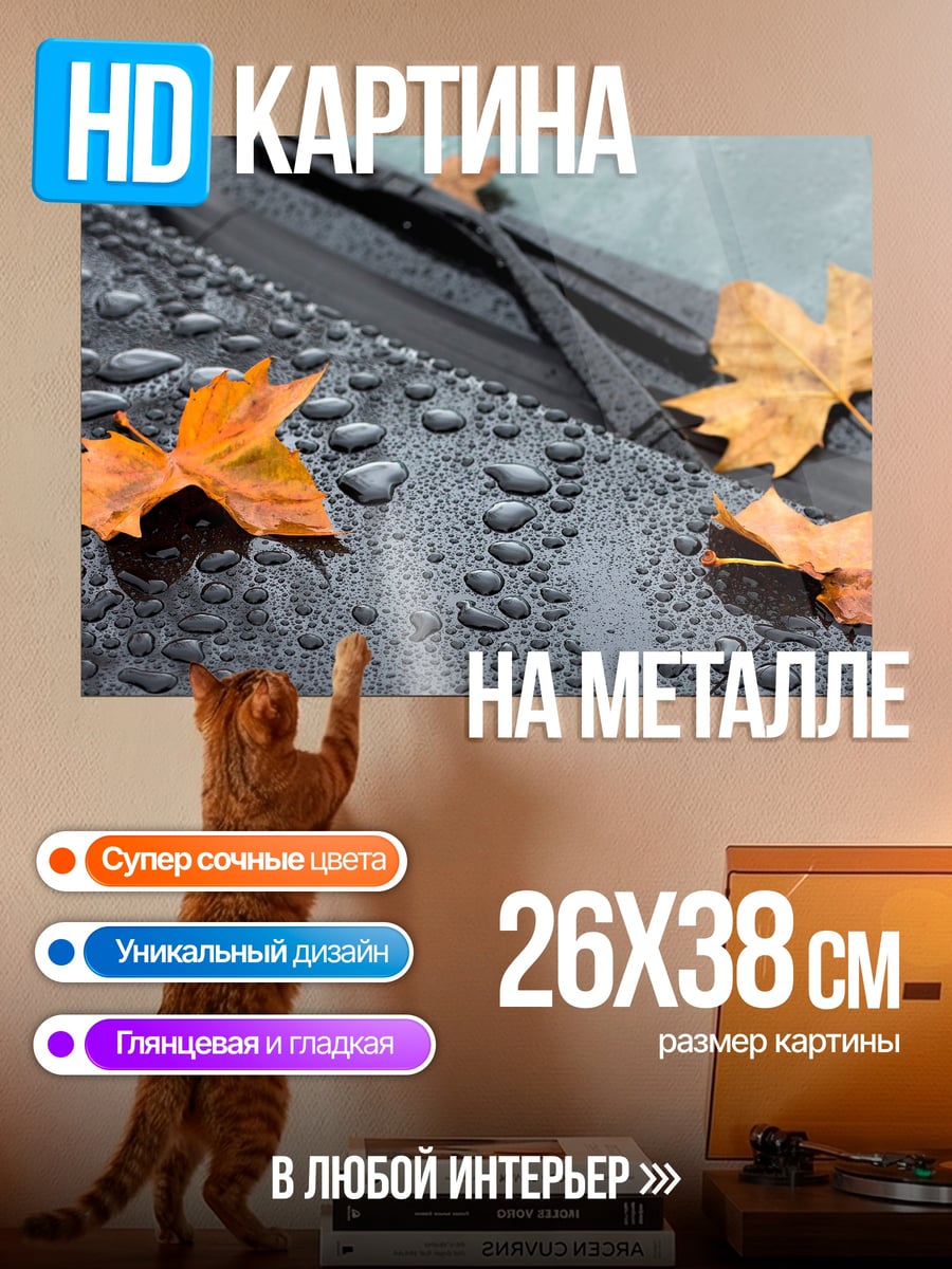 Картина на металле Осенние листья на машине
