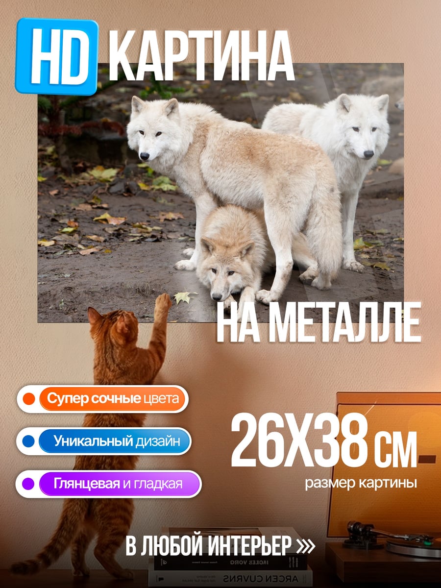 Картина на металле Стая белых волков