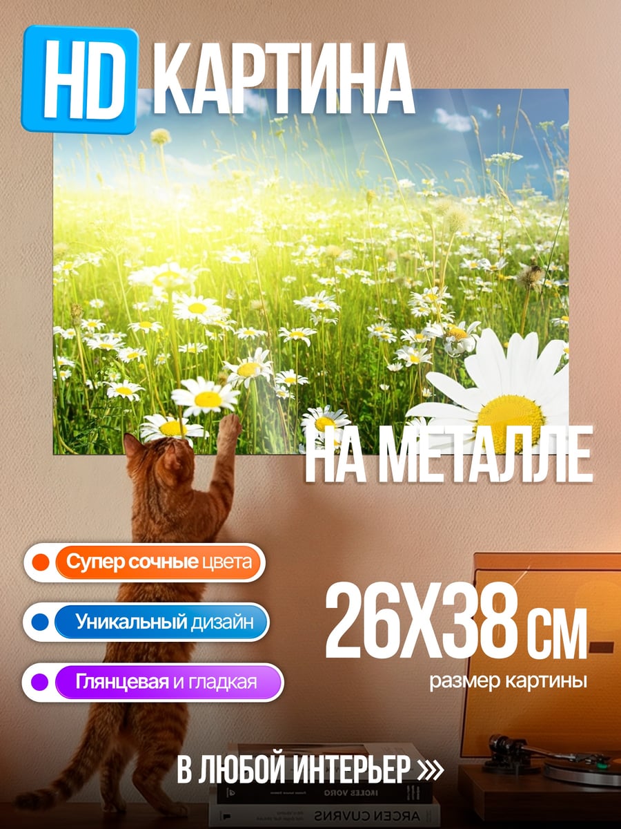 Картина на металле Поле ромашек на солнце