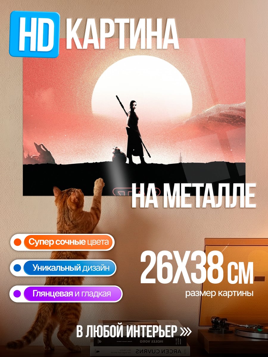 Картина на металле Звездные Войны Рей