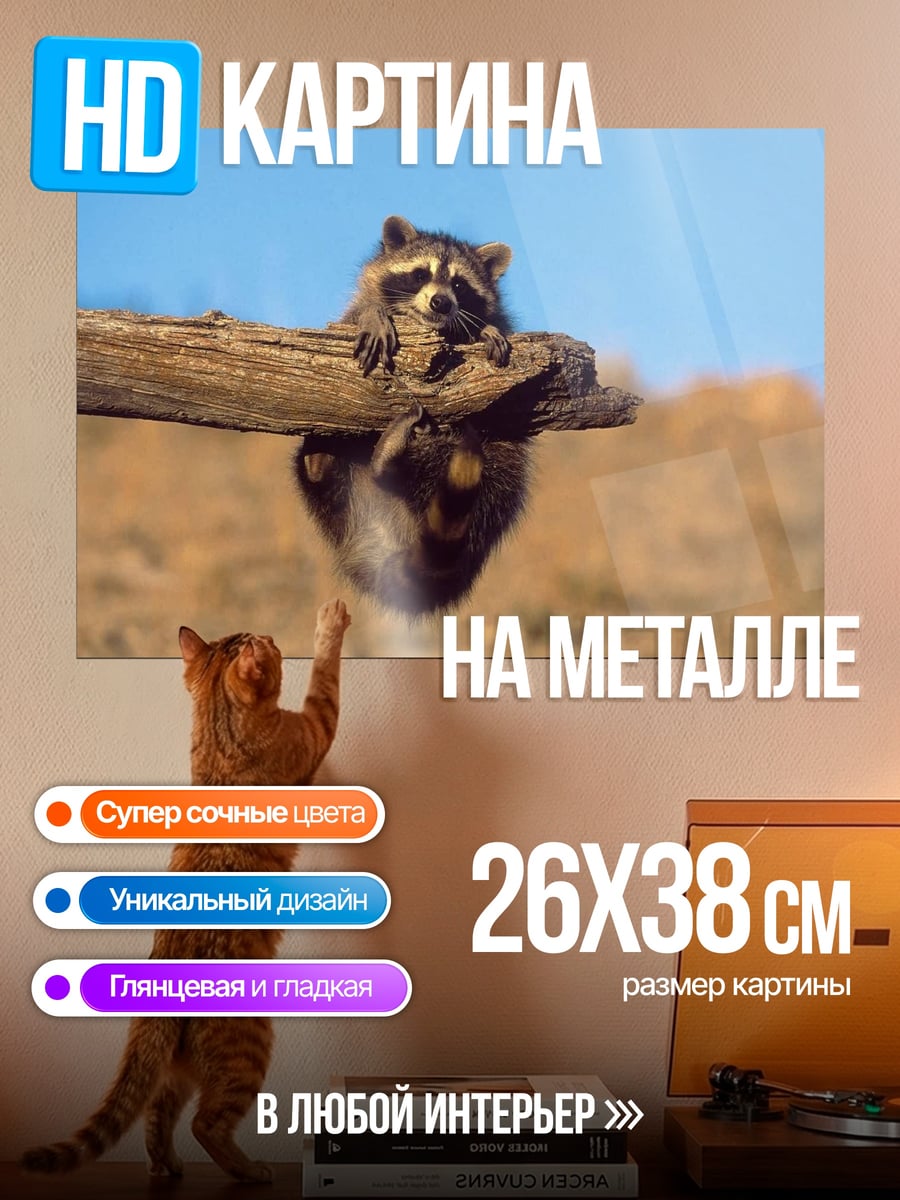 Картина на металле Енот на ветке