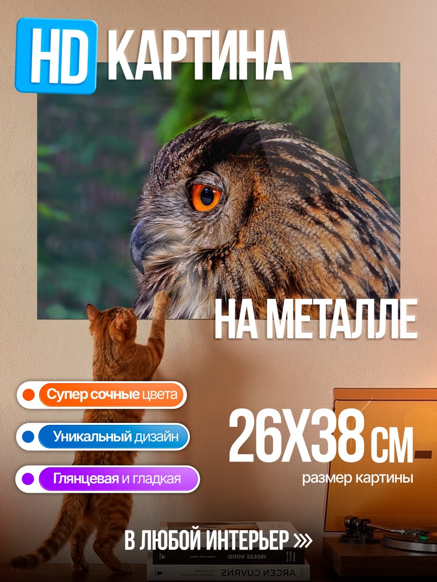 Картина на металле Крупный план совы