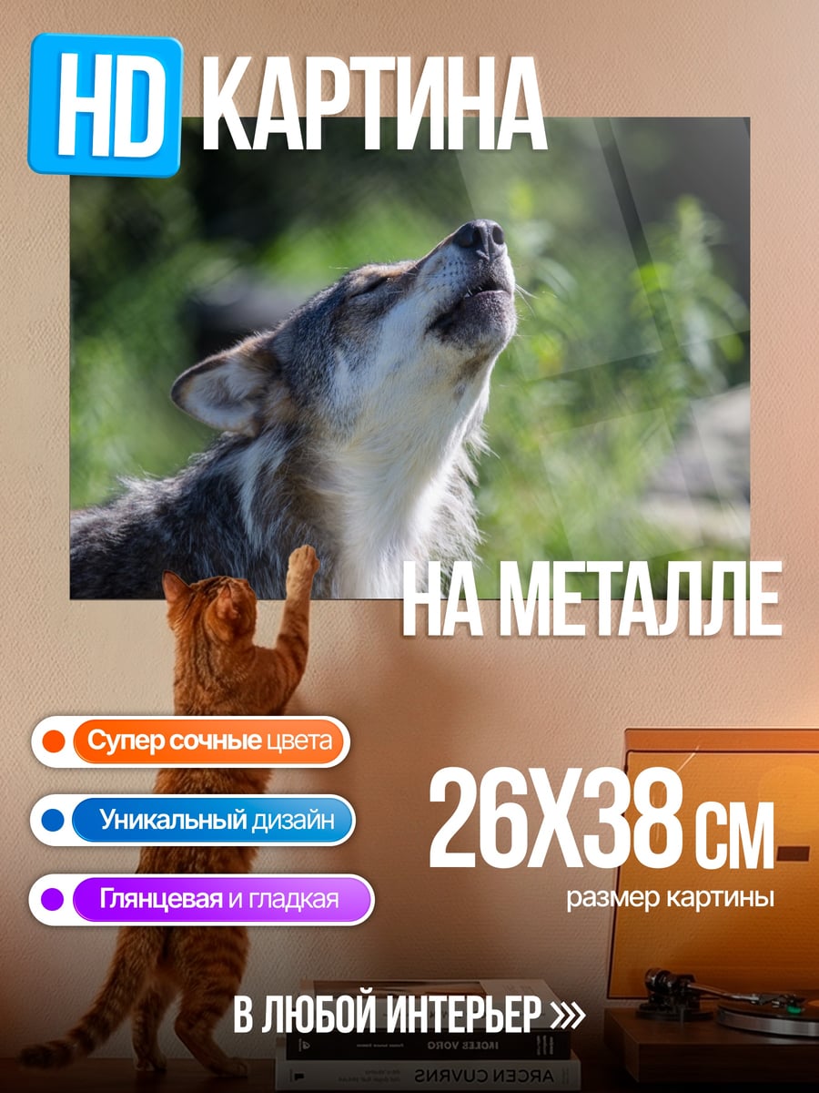 Картина на металле Воющий волк лес