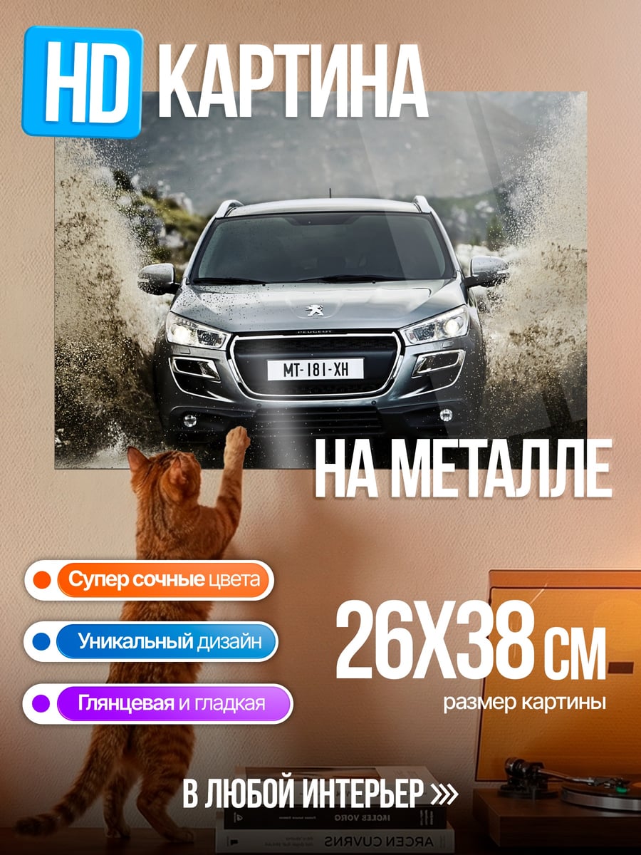 Картина на металле Внедорожник грязь