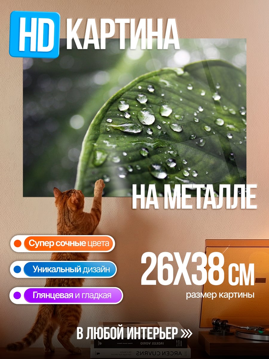 Картина на металле Капли на листе