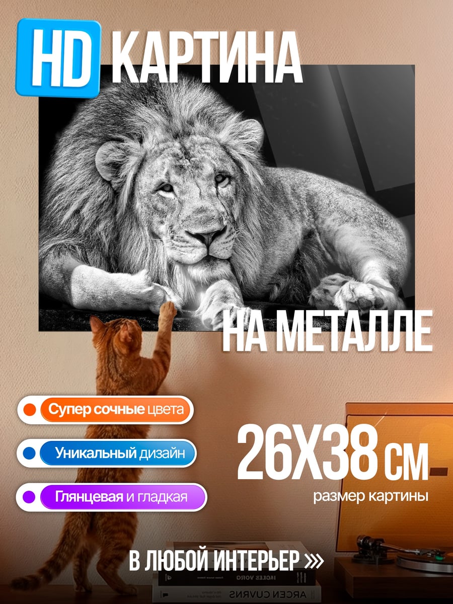 Картина на металле Лев Черно Белый