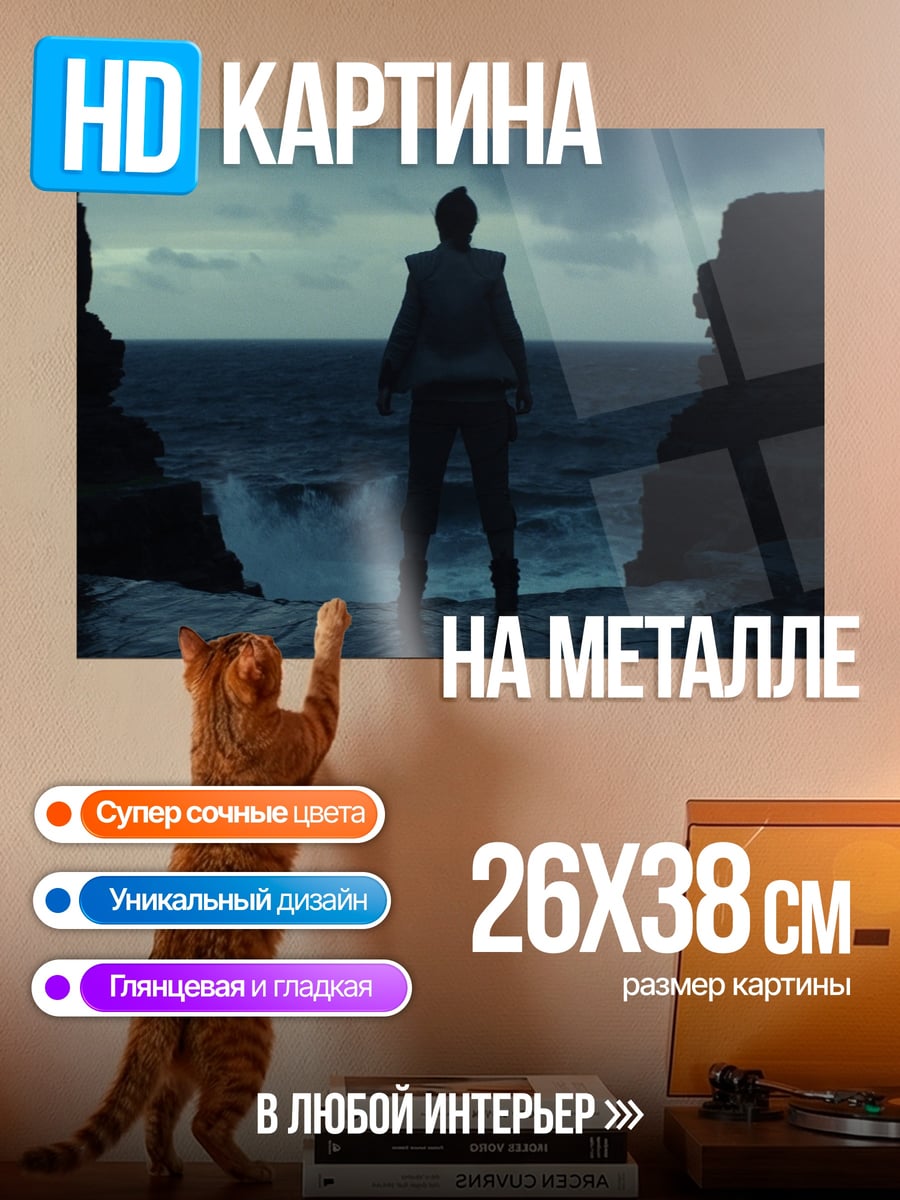Картина на металле Одинокий герой на берегу