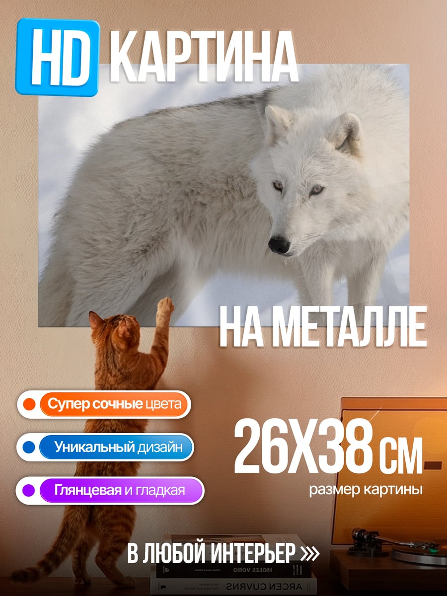 Картина на металле Белый волк зимой