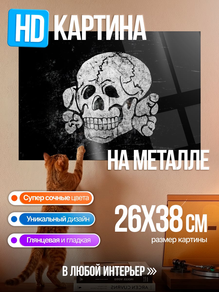Картина на металле Череп на черном фоне