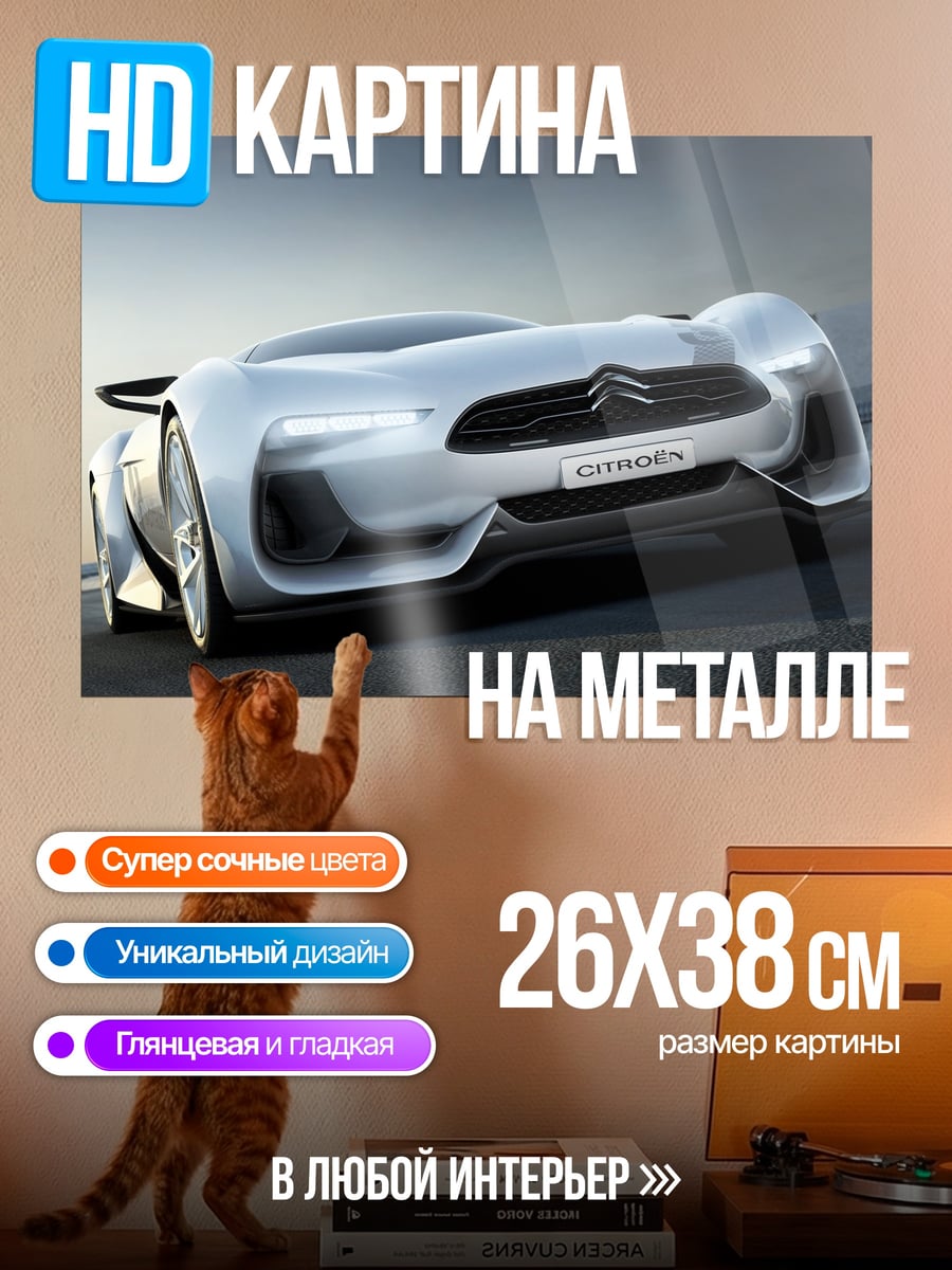 Картина на металле Концепткар Citroen