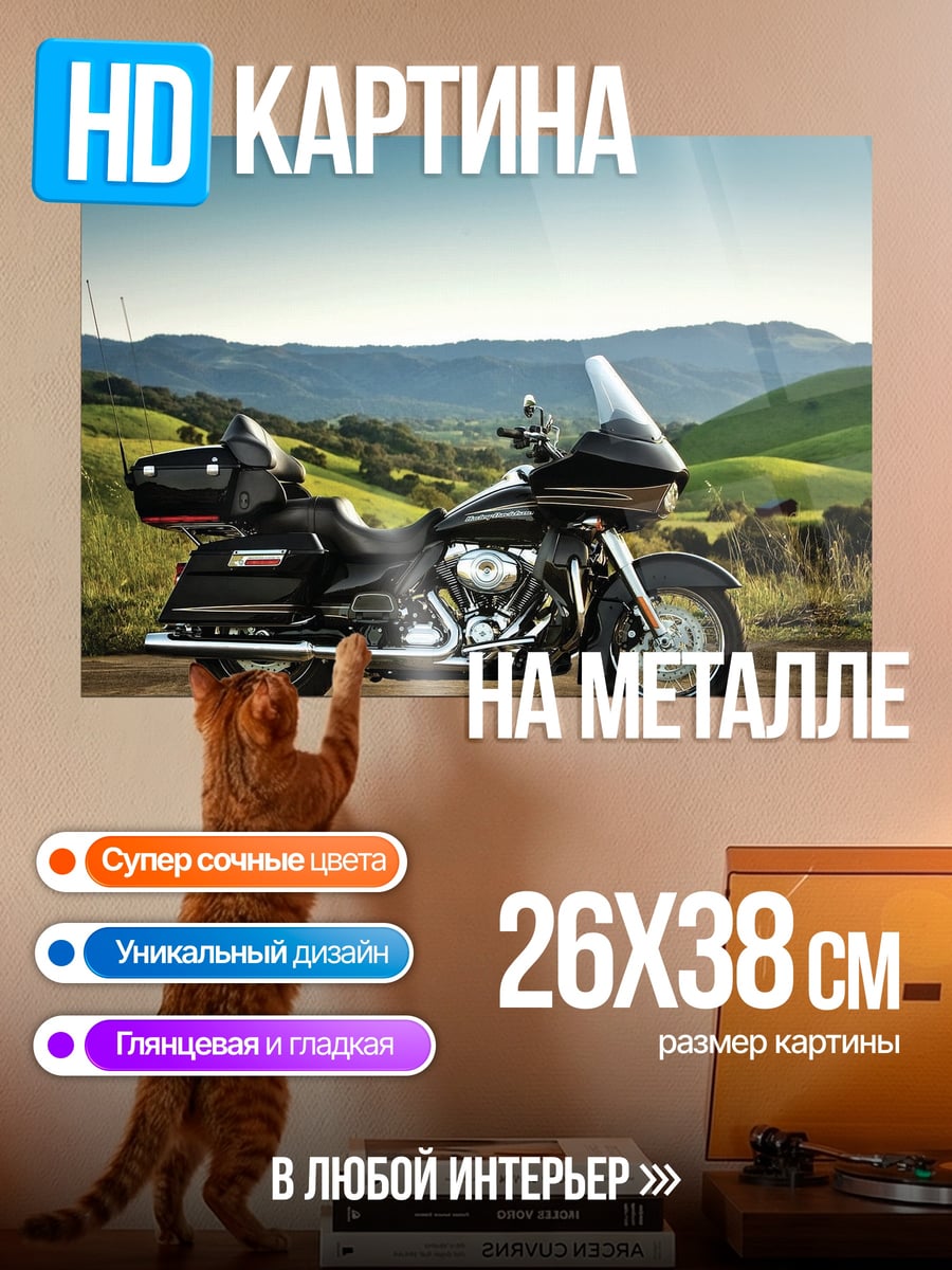Картина на металле Мотоцикл в горах