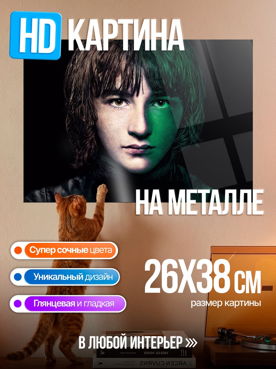 Картина на металле Бран Старк