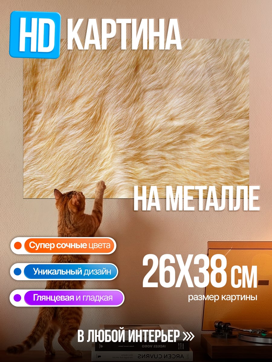 Картина на металле Рыжая шерсть кота