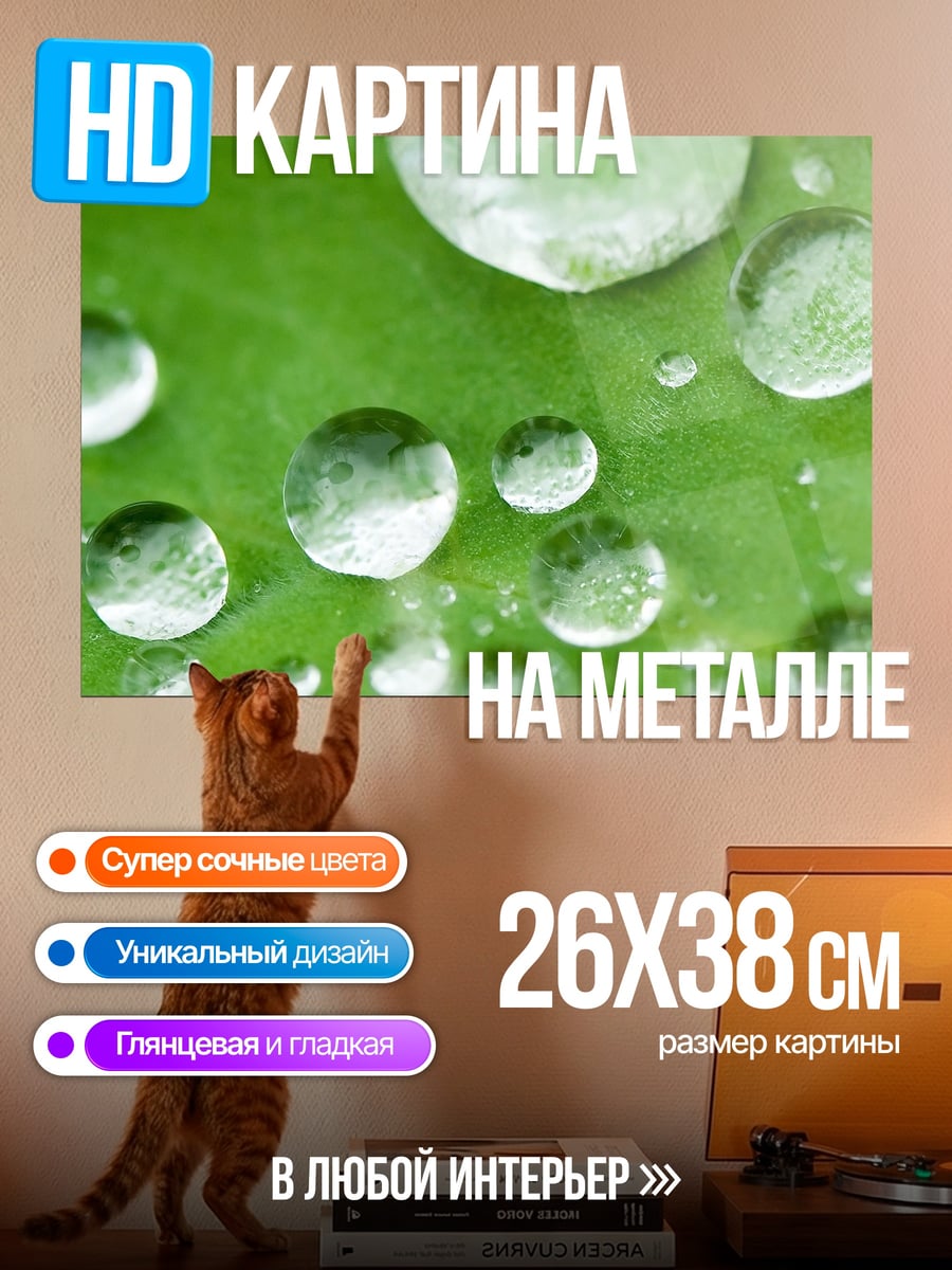 Картина на металле Капли росы