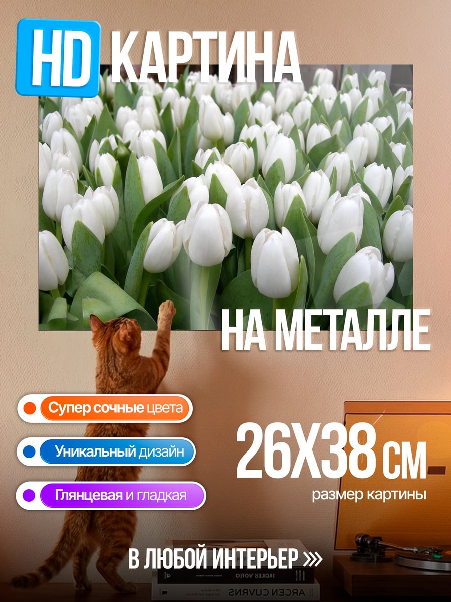 Картина на металле Белые тюльпаны
