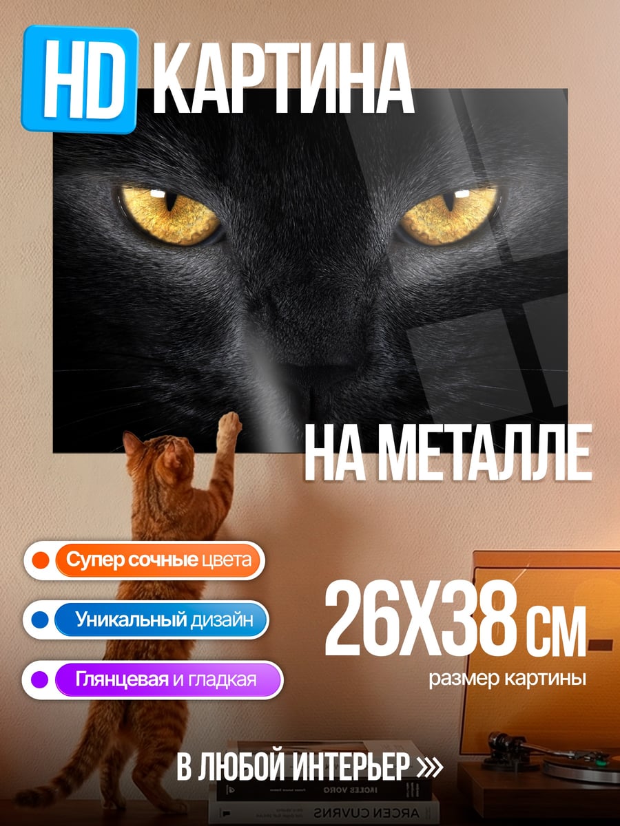 Картина на металле черный кот