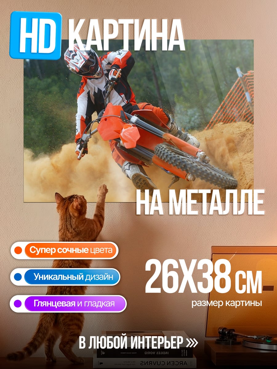 Картина на металле мотоциклист на дюне