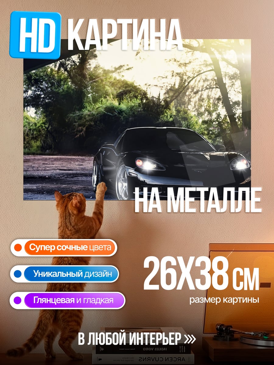 Картина на металле Черный Спорткар Закат