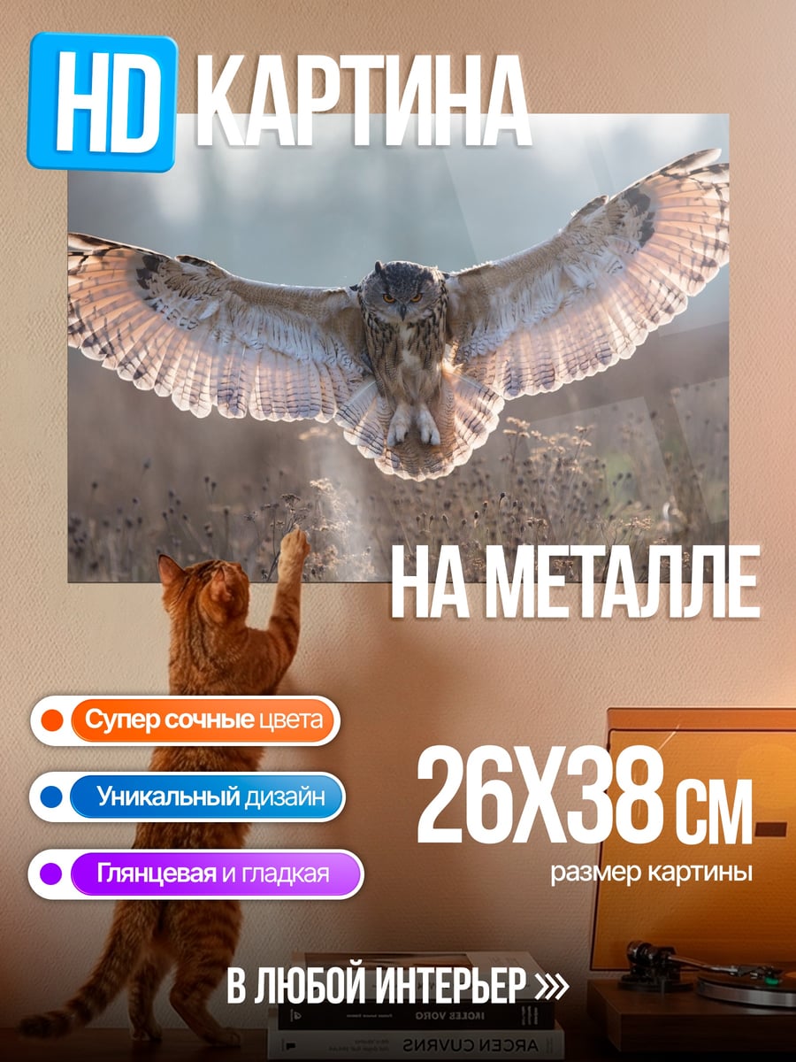 Картина на металле Летающая сова