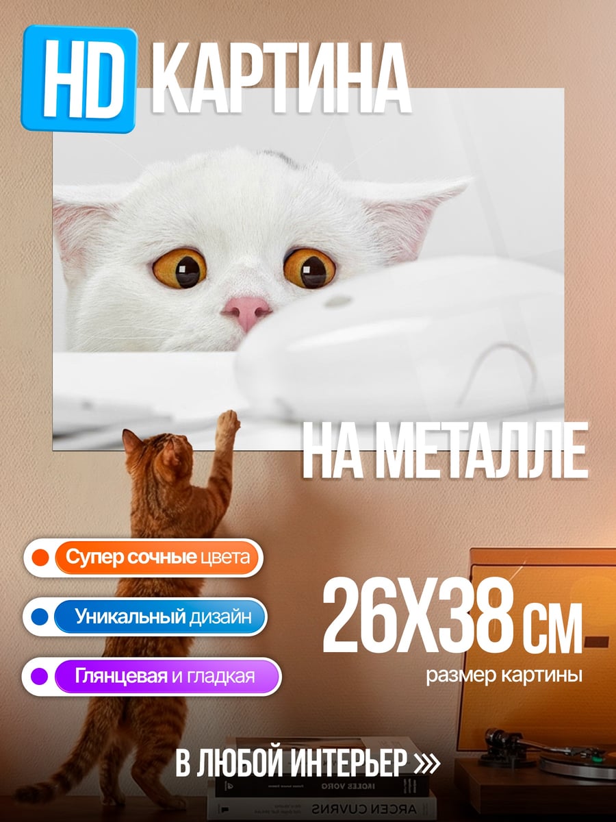 Картина на металле Белый кот и мышь