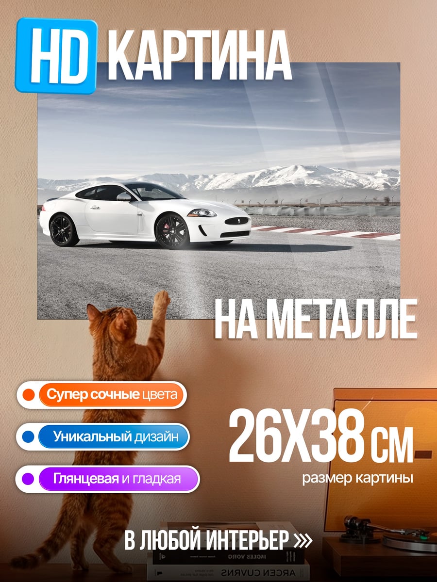 Картина на металле Белый спорткар на трассе