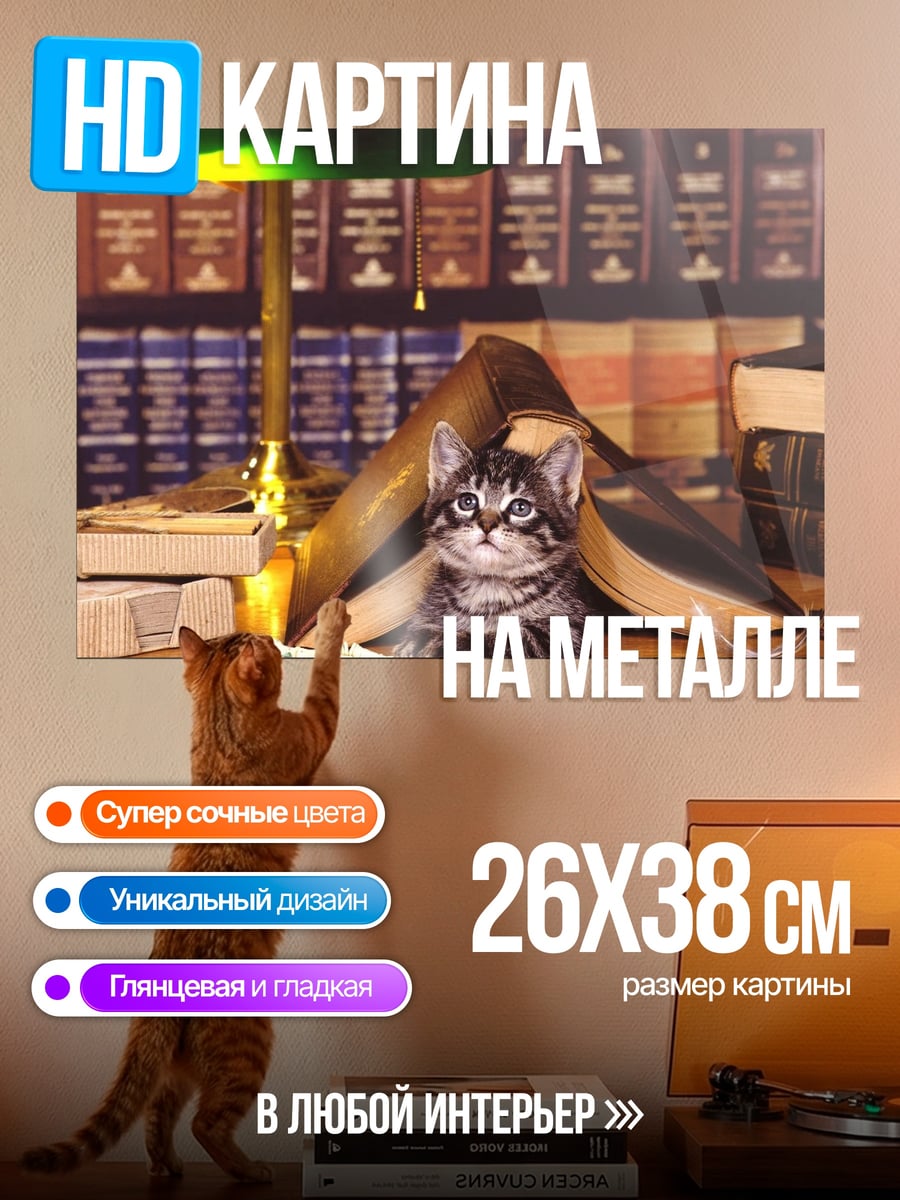 Картина на металле Котёнок в книгах