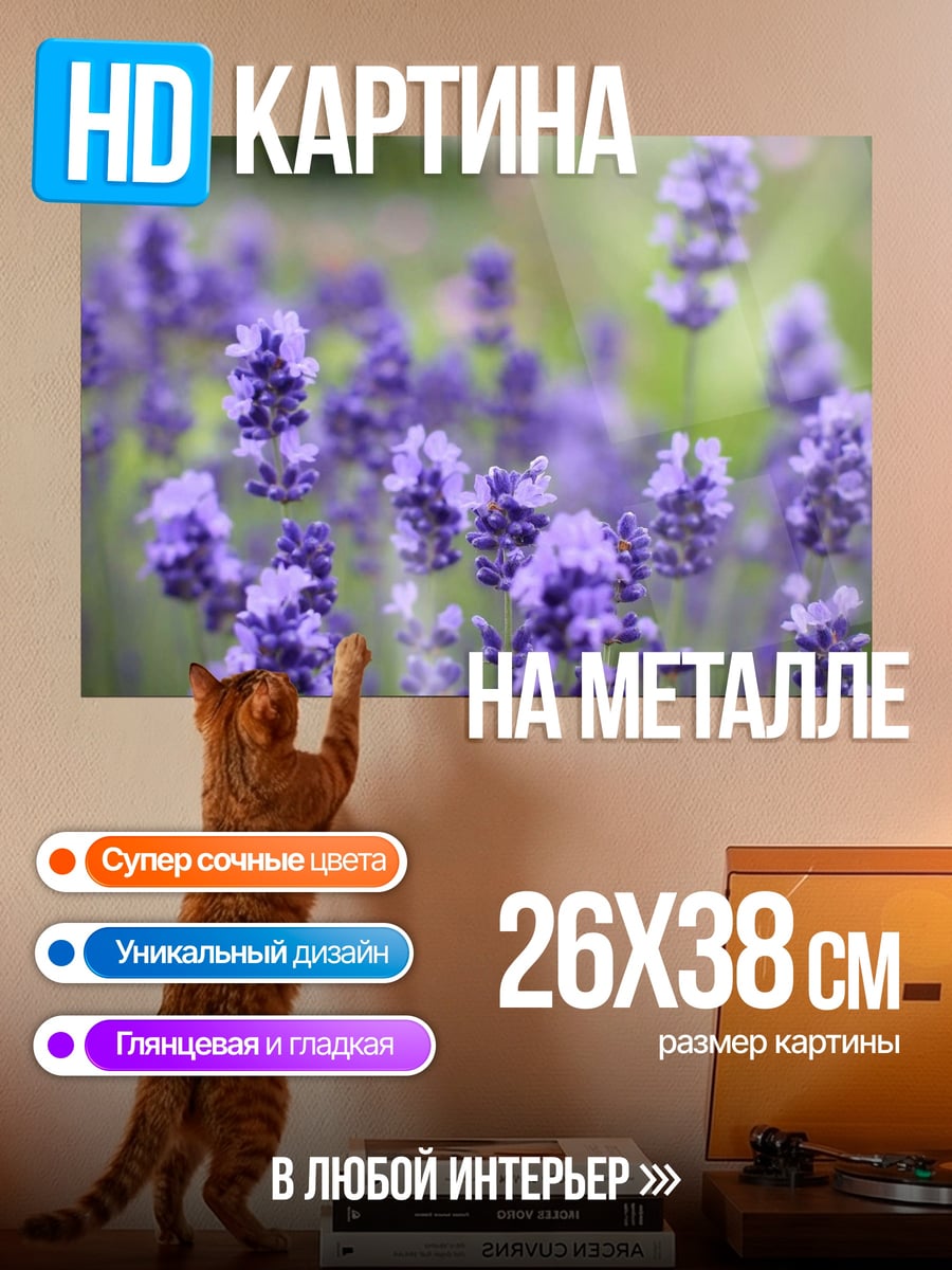 Картина на металле Цветы Лаванды Поле