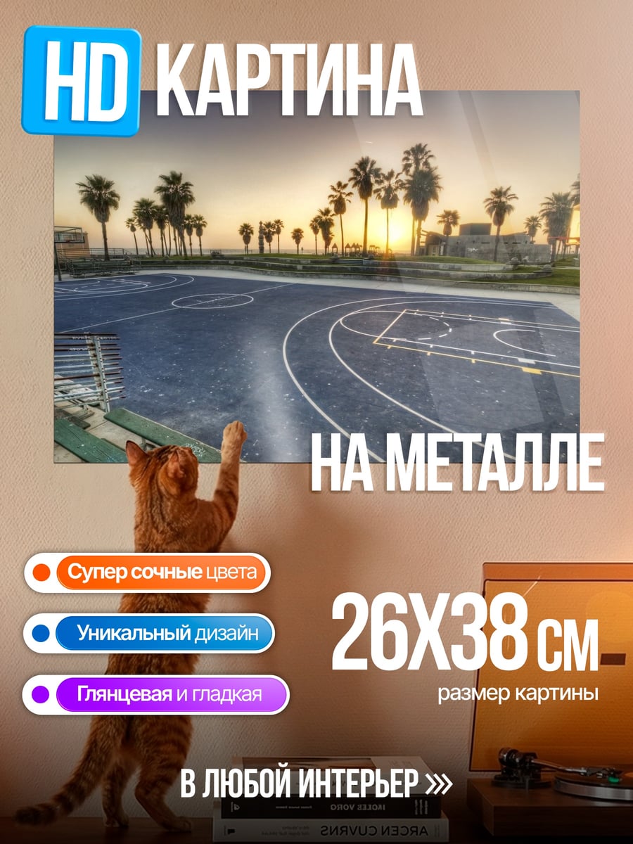 Картина на металле Баскетбольная площадка на закате
